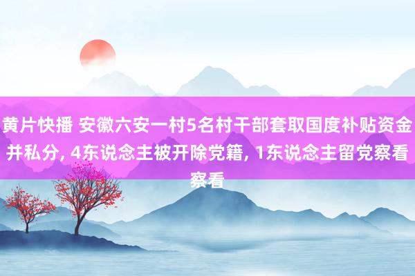 黄片快播 安徽六安一村5名村干部套取国度补贴资金并私分， 4东说念主被开除党籍， 1东说念主留党察看