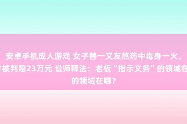 安卓手机成人游戏 女子替一又友熬药中毒身一火，对方被判赔23万元 讼师释法：老板“指示义务”的领域在哪？