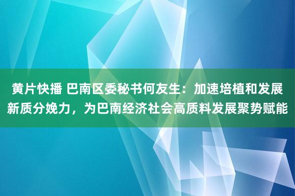 黄片快播 巴南区委秘书何友生：加速培植和发展新质分娩力，为巴南经济社会高质料发展聚势赋能