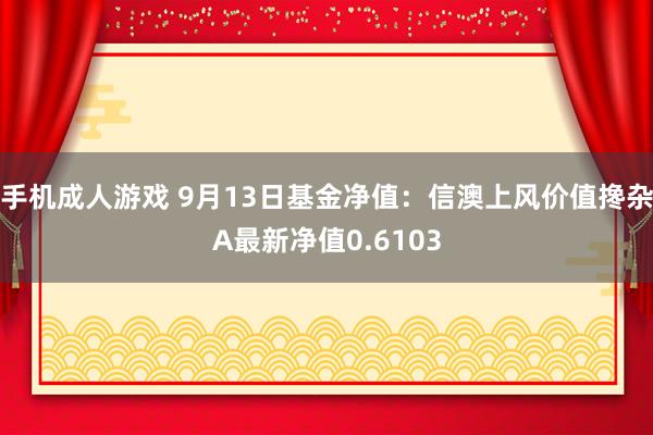 手机成人游戏 9月13日基金净值：信澳上风价值搀杂A最新净值0.6103