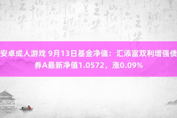 安卓成人游戏 9月13日基金净值：汇添富双利增强债券A最新净值1.0572，涨0.09%