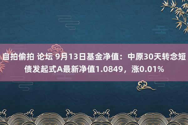 自拍偷拍 论坛 9月13日基金净值：中原30天转念短债发起式A最新净值1.0849，涨0.01%