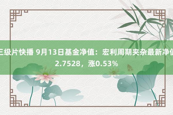 三级片快播 9月13日基金净值：宏利周期夹杂最新净值2.7528，涨0.53%