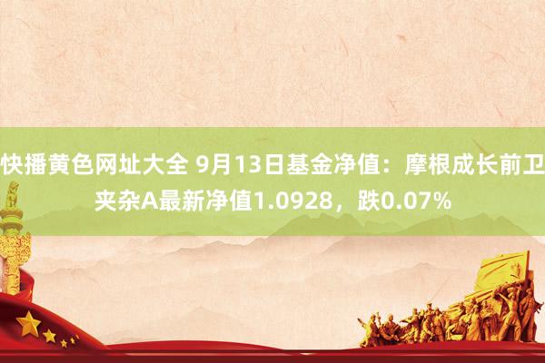 快播黄色网址大全 9月13日基金净值：摩根成长前卫夹杂A最新净值1.0928，跌0.07%