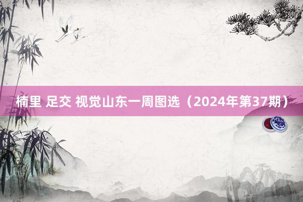 楠里 足交 视觉山东一周图选（2024年第37期）