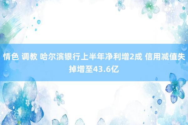 情色 调教 哈尔滨银行上半年净利增2成 信用减值失掉增至43.6亿