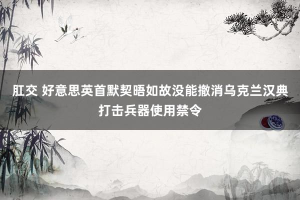 肛交 好意思英首默契晤如故没能撤消乌克兰汉典打击兵器使用禁令