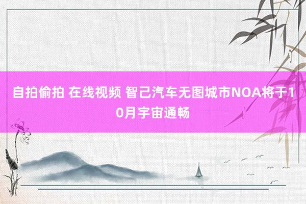 自拍偷拍 在线视频 智己汽车无图城市NOA将于10月宇宙通畅