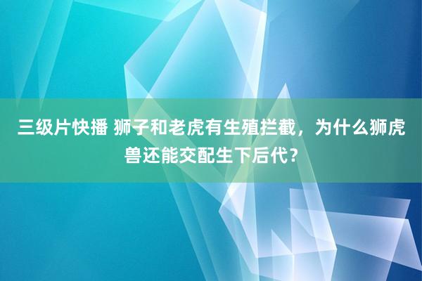 三级片快播 狮子和老虎有生殖拦截，为什么狮虎兽还能交配生下后代？