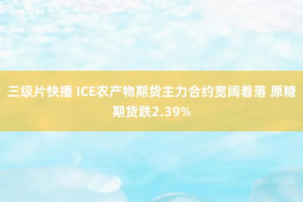 三级片快播 ICE农产物期货主力合约宽阔着落 原糖期货跌2.39%