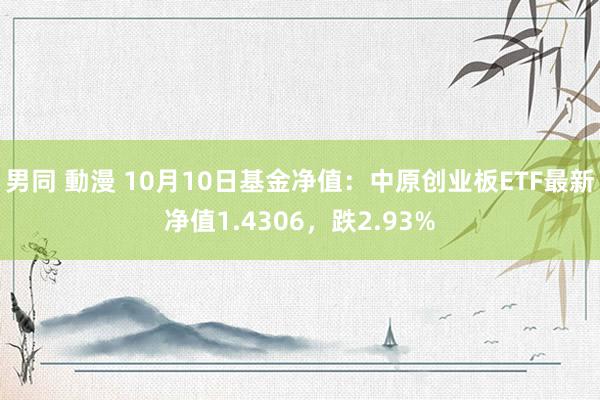 男同 動漫 10月10日基金净值：中原创业板ETF最新净值1.4306，跌2.93%