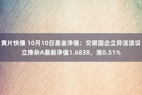 黄片快播 10月10日基金净值：交银国企立异活泼设立搀杂A最新净值1.6838，涨0.51%