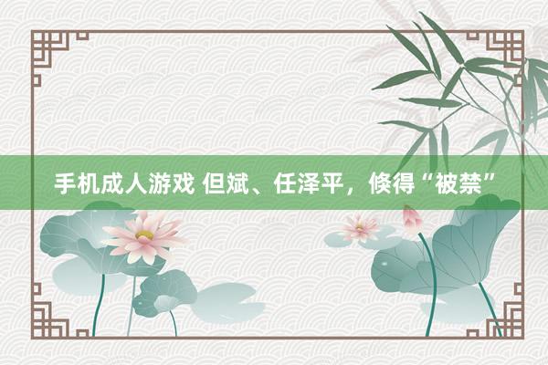 手机成人游戏 但斌、任泽平，倏得“被禁”