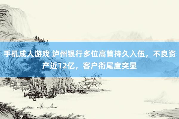 手机成人游戏 泸州银行多位高管持久入伍，不良资产近12亿，客户衔尾度突显