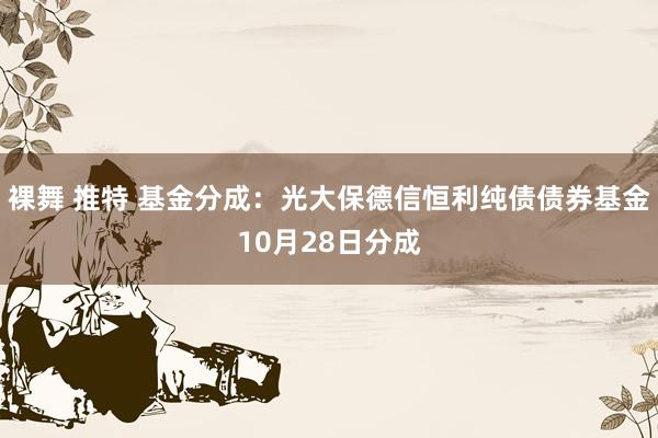 裸舞 推特 基金分成：光大保德信恒利纯债债券基金10月28日分成