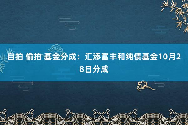 自拍 偷拍 基金分成：汇添富丰和纯债基金10月28日分成