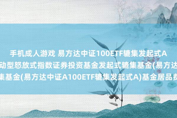 手机成人游戏 易方达中证100ETF辘集发起式A: 易方达中证A100走动型怒放式指数证券投资基金发起式辘集基金(易方达中证A100ETF辘集发起式A)基金居品费事选录更新