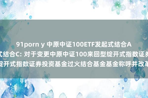 91porn y 中原中证100ETF发起式结合A，中原中证100ETF发起式结合C: 对于变更中原中证100来回型绽开式指数证券投资基金过火结合基金基金称呼并改革基金合同的公告