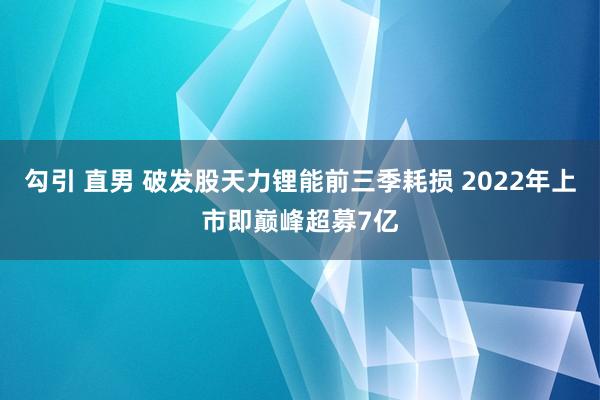 勾引 直男 破发股天力锂能前三季耗损 2022年上市即巅峰超募7亿