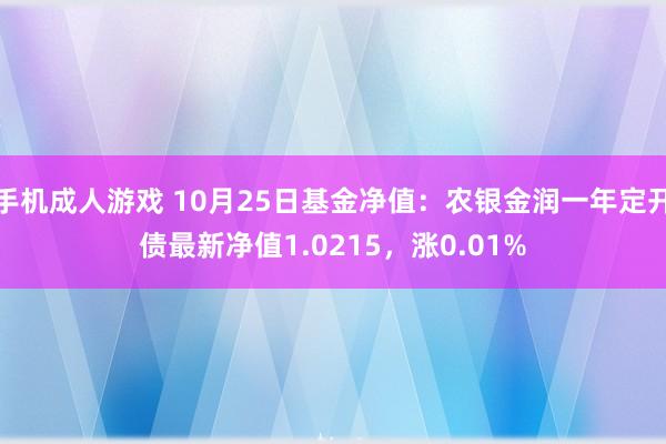 手机成人游戏 10月25日基金净值：农银金润一年定开债最新净值1.0215，涨0.01%