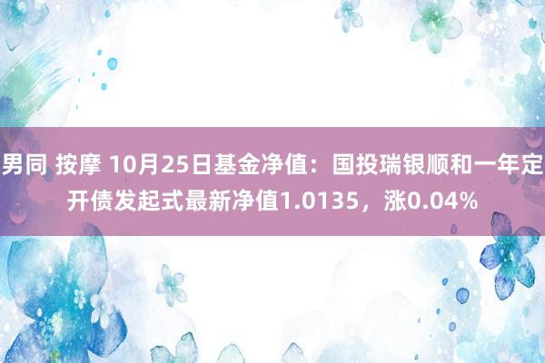 男同 按摩 10月25日基金净值：国投瑞银顺和一年定开债发起式最新净值1.0135，涨0.04%