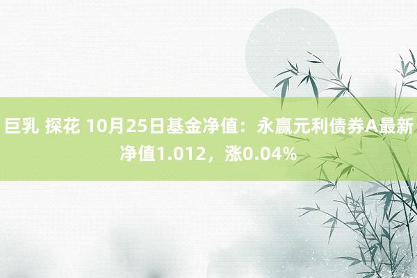 巨乳 探花 10月25日基金净值：永赢元利债券A最新净值1.012，涨0.04%