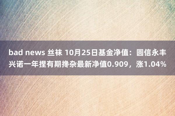 bad news 丝袜 10月25日基金净值：圆信永丰兴诺一年捏有期搀杂最新净值0.909，涨1.04%