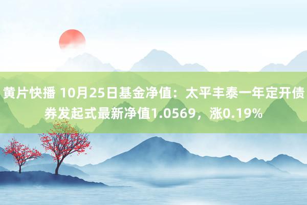 黄片快播 10月25日基金净值：太平丰泰一年定开债券发起式最新净值1.0569，涨0.19%