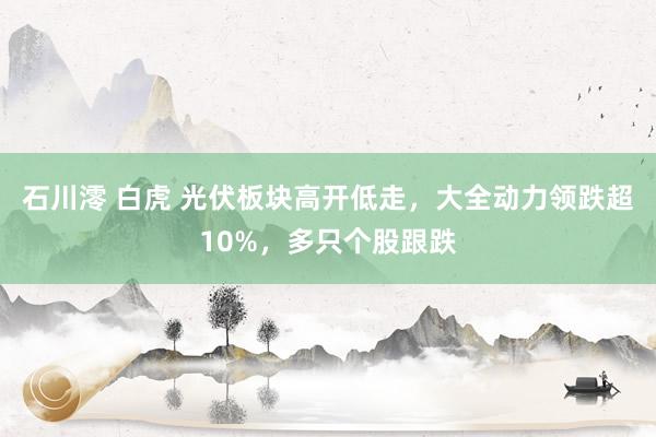 石川澪 白虎 光伏板块高开低走，大全动力领跌超10%，多只个股跟跌