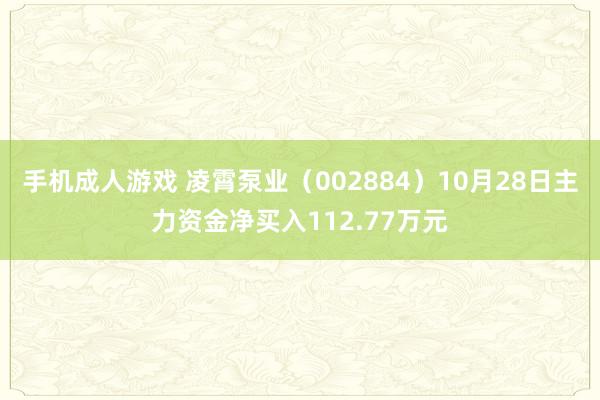 手机成人游戏 凌霄泵业（002884）10月28日主力资金净买入112.77万元