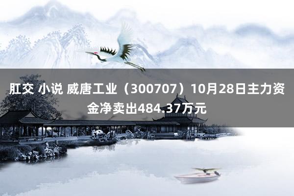 肛交 小说 威唐工业（300707）10月28日主力资金净卖出484.37万元