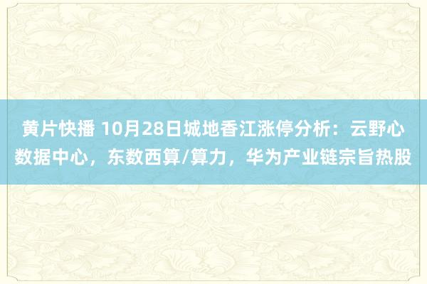 黄片快播 10月28日城地香江涨停分析：云野心数据中心，东数西算/算力，华为产业链宗旨热股