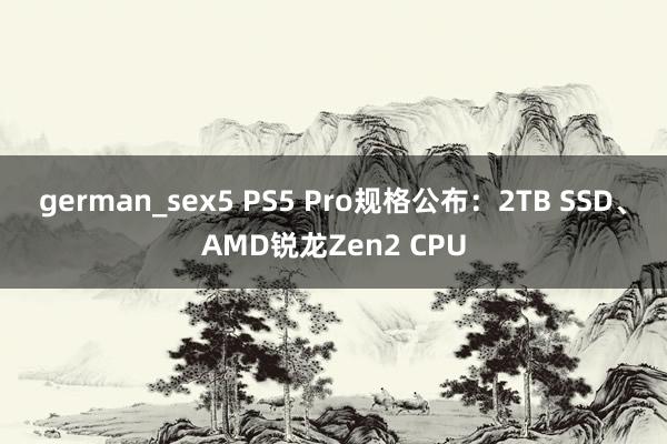 german_sex5 PS5 Pro规格公布：2TB SSD、AMD锐龙Zen2 CPU