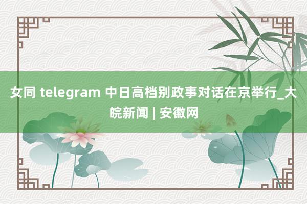 女同 telegram 中日高档别政事对话在京举行_大皖新闻 | 安徽网