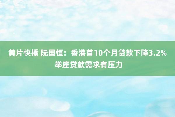 黄片快播 阮国恒：香港首10个月贷款下降3.2% 举座贷款需求有压力