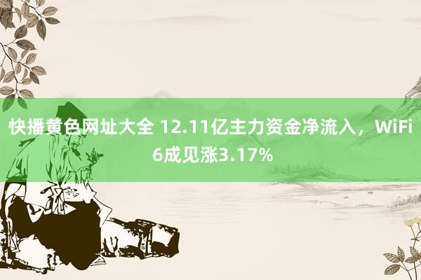 快播黄色网址大全 12.11亿主力资金净流入，WiFi 6成见涨3.17%