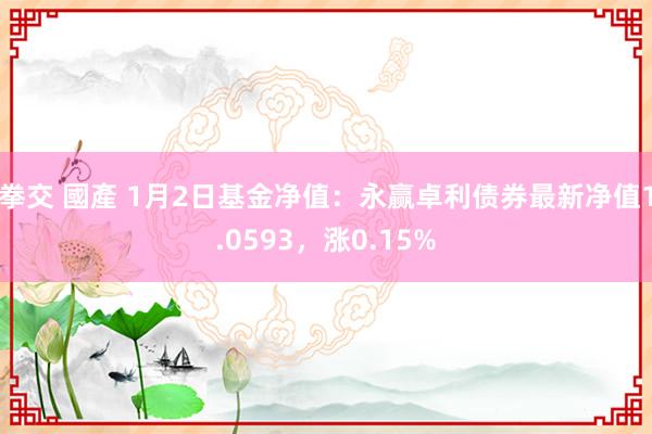 拳交 國產 1月2日基金净值：永赢卓利债券最新净值1.0593，涨0.15%