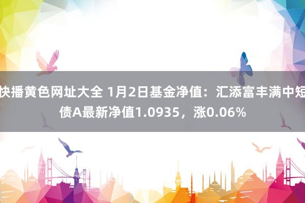 快播黄色网址大全 1月2日基金净值：汇添富丰满中短债A最新净值1.0935，涨0.06%