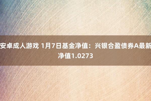 安卓成人游戏 1月7日基金净值：兴银合盈债券A最新净值1.0273