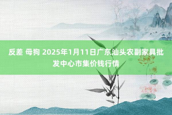 反差 母狗 2025年1月11日广东汕头农副家具批发中心市集价钱行情