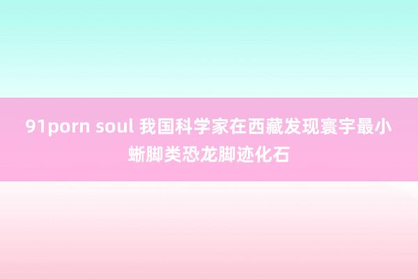 91porn soul 我国科学家在西藏发现寰宇最小蜥脚类恐龙脚迹化石