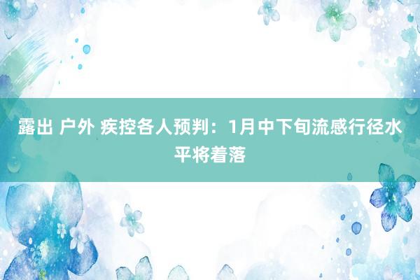 露出 户外 疾控各人预判：1月中下旬流感行径水平将着落